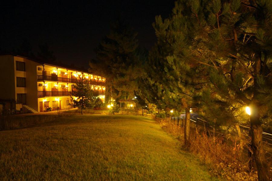 Milionis Forest Hotel เกรเวนา ห้อง รูปภาพ